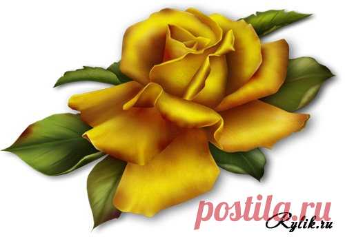 рисованные цветы - 1 млн картинок. Поиск Mail.Ru