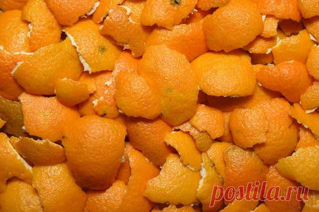 Мандарины и их корки — польза и вред для здоровья