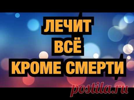 В 150 раз сильнее лимона и в 30 раз сильнее чеснока - убийца бактерий и грибков