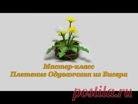 Мастер класс &quot;Плетение одуванчика из бисера&quot; | Вышивка бисером и не только