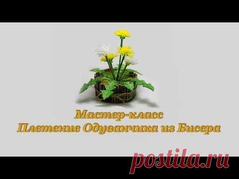 Мастер класс "Плетение одуванчика из бисера" | Вышивка бисером и не только
