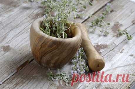 Давление под контролем. Чабрец, барбарис и черника помогут при гипертонии | Здоровая жизнь | Здоровье | Аргументы и Факты