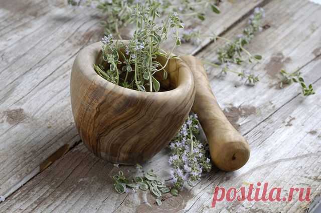 Давление под контролем. Чабрец, барбарис и черника помогут при гипертонии | Здоровая жизнь | Здоровье | Аргументы и Факты