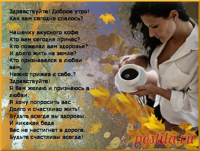 pic (660×498)