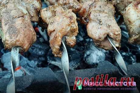 Зачем и для чего посыпают солью угли при готовке шашлыка: советую, как вкусно приготовить мясо на мангале