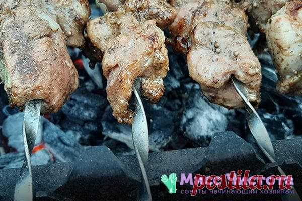 Зачем и для чего посыпают солью угли при готовке шашлыка: советую, как вкусно приготовить мясо на мангале