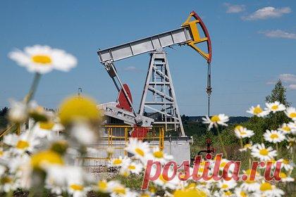 В Госдуме оценили последствия отказа Индии от закупок российской нефти
