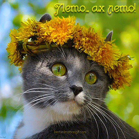 Лето..Ах лето! - анимационные картинки и gif открытки