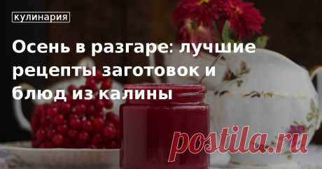 Заготовки на зиму: рецепты приготовления красной калины от «Едим Дома» Лучшие рецепты приготовления калины на зиму. Как сделать варенье и сохранить полезные свойства: подборка простых рецептов из калины от редакции «Едим Дома»