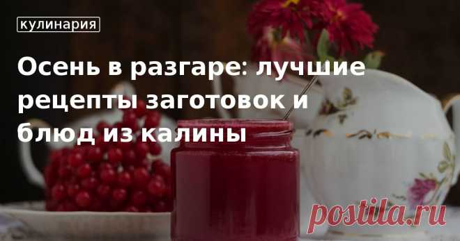 Заготовки на зиму: рецепты приготовления красной калины от «Едим Дома» Лучшие рецепты приготовления калины на зиму. Как сделать варенье и сохранить полезные свойства: подборка простых рецептов из калины от редакции «Едим Дома»