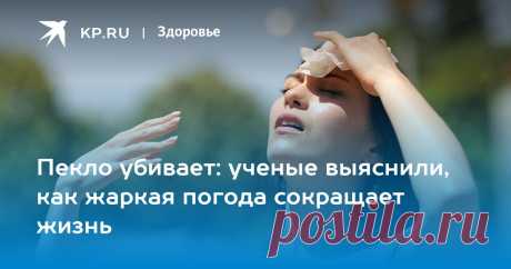 3-8-23-Пекло убивает: ученые выяснили, как жаркая погода сокращает жизнь Профессор-кардиолог Копылов: В жару может потребоваться срочное изменение дозировки лекарств
