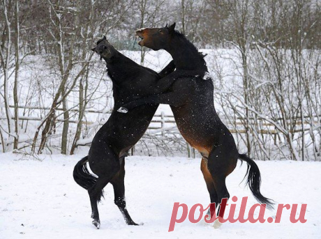 Интересные новости