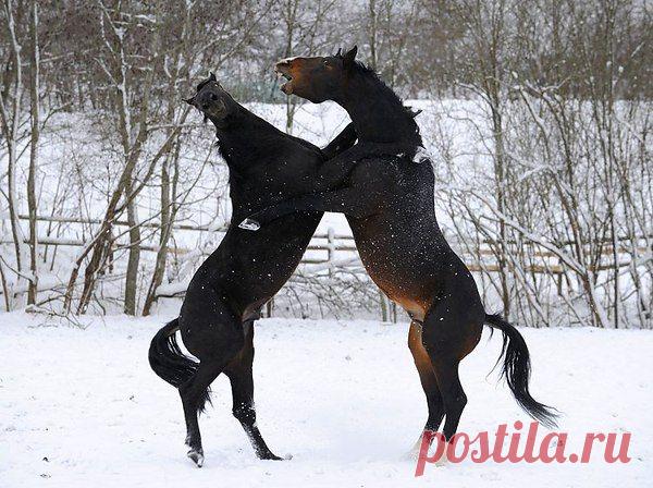 Интересные новости