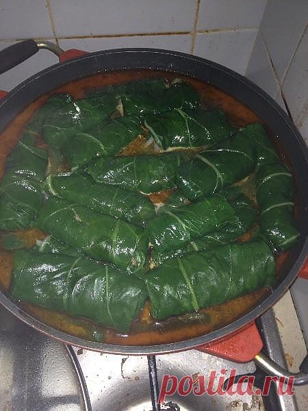 Голубцы из мангольда (Мангольд – это сорт свеклы с небольшим несъедобным корнем и съедобными листьями, которые очень сочные. Мангольд также называют листовой свеклой.