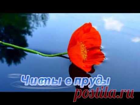 Чистые пруды - ( Сергей Овчинников- саксафон)
