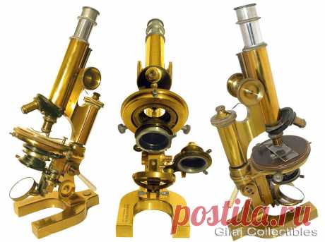 Bausch &amp; Lomb Brass Continental Микроскоп около 1898. - Gilai Коллекционирование