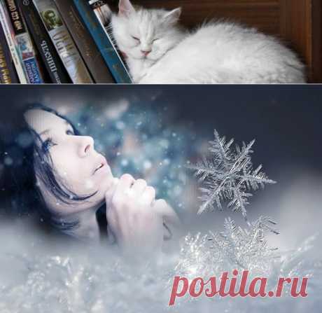 Пишем книгу, используя метод снежинки | Литературная гостиная Елены Полярной. Как написать книгу?

Плюсы и минусы метода, ускоряющего процесс написания книги...