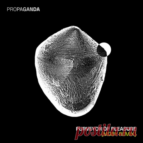 Propaganda - Purveyor of Pleasure (Moby Remix) (2025) 320kbps / FLAC