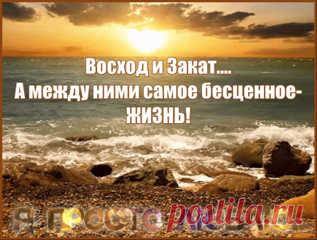 Никто из нас не выберется отсюда живым, так что, пожалуйста, перестаньте относиться к себе как к чему-то второстепенному. Ешьте вкусную еду. Гуляйте на солнце. Прыгайте в океан. Делитесь драгоценной правдой, которая у вас на сердце. Будьте глупыми. Будьте добрыми. Будьте странными. На остальное просто нет времени. (Ричард Гир)