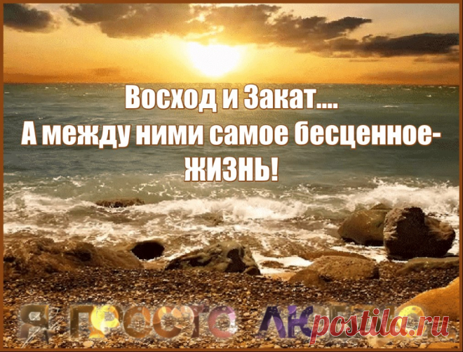 Никто из нас не выберется отсюда живым, так что, пожалуйста, перестаньте относиться к себе как к чему-то второстепенному. Ешьте вкусную еду. Гуляйте на солнце. Прыгайте в океан. Делитесь драгоценной правдой, которая у вас на сердце. Будьте глупыми. Будьте добрыми. Будьте странными. На остальное просто нет времени. (Ричард Гир)