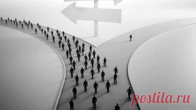 Как мозг обманывает нас, почему мы принимаем плохие решения и что поможет сделать правильный выбор | Каждый день мы принимаем множество важных решений. Покупать ли автомобиль, переходить ли на новую работу, открывать ли собственный бизнес? Один из самых распространенных подходов — проанализировать плюсы и минусы. Однако психологи доказали неэффективность этого метода. Оказывается, все мы склонны к одинаковым предубеждениям, которые заставляют нас делать неправильный выбор.