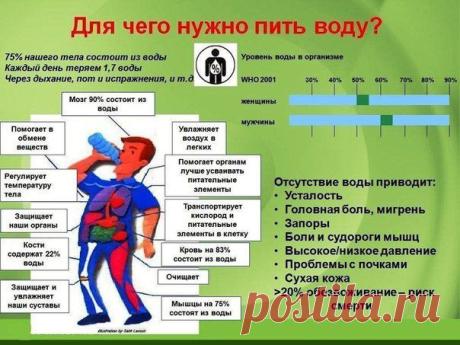 Добавки помогают организму восстановится.