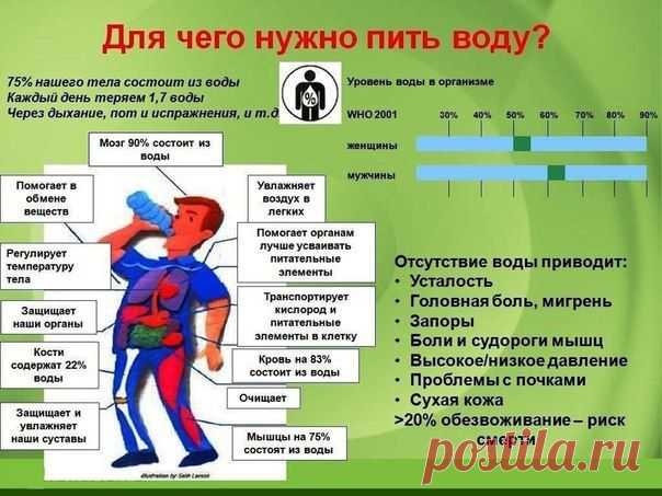 Добавки помогают организму восстановится.