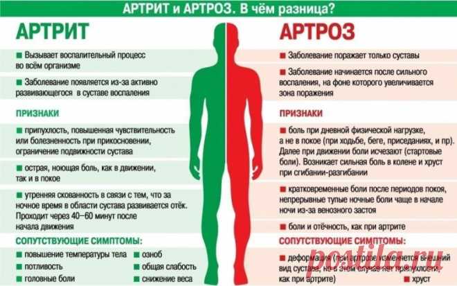 Сохраняйте активность, чтобы облегчить боль при артрите 
 
На первый взгляд это нелогично, но если у вас болят суставы, возможно, вам стоит двигаться больше, а не меньше. 
 
Единственный проверенный способ предотвратить обострение артрита — это сохранять физическую активность и держать вес в норме. 
 
Регулярные занятия спортом снижают нагрузку на суставы, укрепляя окружающие их мышцы и способствуя снижению веса. Кроме того, растяжка и физическая активность сохраняют подви...