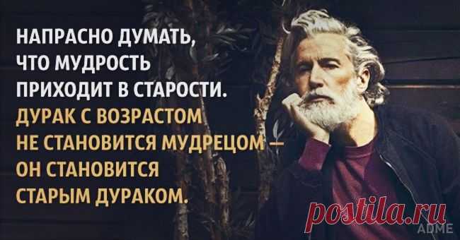 Напрасно думать, что мудрость приходит в старости