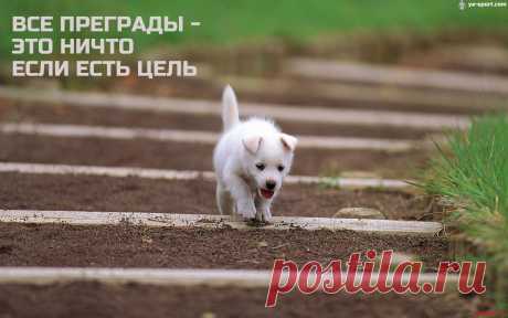 В храме успеха нет открытых дверей. Каждый входящий пробивает свою дверь, которая плотно затворяется за ним для всех других и не пропускает даже его собственных детей. – О. Марден
«Работаю, потому что я МАМА!» Без продаж, вложений. Не для лентяек! Подробности на https://expressdironline.wix.com/musulmanovaasel