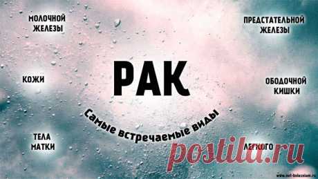 Виды рака: 28 самых встречаемых онкологических заболеваний 

Самыми встречаемыми видами рака являются: рак легкого, рак плевры, рак желудка, рак молочной железы, рак желчного тракта, рак печени, рак поджелудочной железы, рак пищевода, рак прямой кишки, рак щитовидной железы, лейкоз, меланома, лимфома, рак предстательной железы.