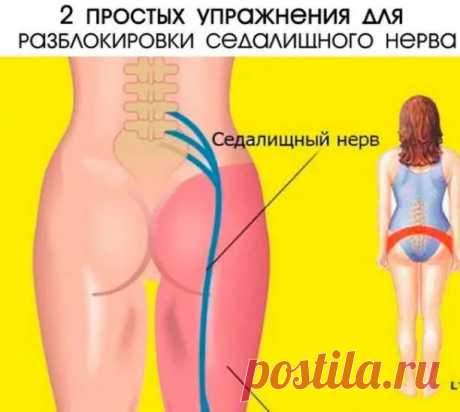 2 простых упражнения для разблокировки седалищного нерва.
Самый крупный нерв в нашем теле – седалищный, а его защемление сопровождается сильнейшей болью, временным частичным параличом.