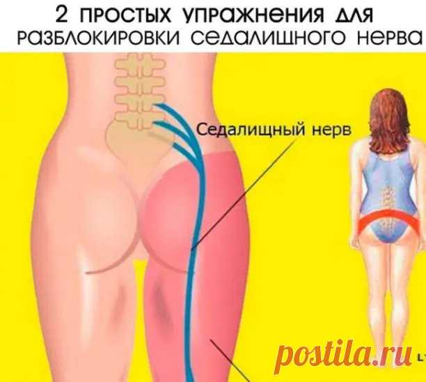 2 простых упражнения для разблокировки седалищного нерва.
Самый крупный нерв в нашем теле – седалищный, а его защемление сопровождается сильнейшей болью, временным частичным параличом.