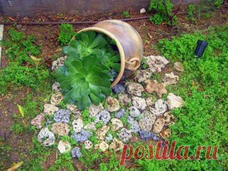 Как обустроить дачный участок с наименьшими затратами