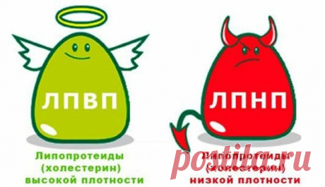 Повышенный холестерин у женщин причины и последствия / Повышенный холестерин у женщин причины и последствия Повышенный холестерин у мужчин симптомыНорма по возрасту у женщин будет отличаться. Так нормальные показатели липопротеидов низкой плотности составляют:  Статины. Они блокируют синтез ЛПНП, тем самым уменьшается вероятность образования атеросклеротических бляшек. Препараты данного вида улучшают липидный обмен.  Фибраты способствуют повышению особого фермента, который расщепляет липопр