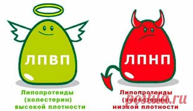 Повышенный холестерин у женщин причины и последствия / Повышенный холестерин у женщин причины и последствия Повышенный холестерин у мужчин симптомыНорма по возрасту у женщин будет отличаться. Так нормальные показатели липопротеидов низкой плотности составляют:  Статины. Они блокируют синтез ЛПНП, тем самым уменьшается вероятность образования атеросклеротических бляшек. Препараты данного вида улучшают липидный обмен.  Фибраты способствуют повышению особого фермента, который расщепляет липопр
