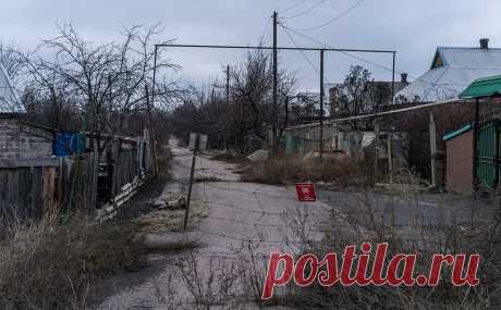 Наблюдатели ОБСЕ сообщили о 500 взрывах в Донбассе за сутки. Наблюдатели Организации по безопасности и сотрудничеству в Европе (ОБСЕ) насчитали 500 взрывов вдоль линии соприкосновения в Донбассе за прошедшие сутки, заявил глава Специальной мониторинговой миссии (СММ) ОБСЕ на Украине Яшар Халит Чевик на заседании Совета Безопасности ООН.