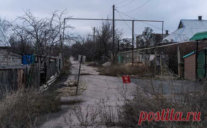 Наблюдатели ОБСЕ сообщили о 500 взрывах в Донбассе за сутки. Наблюдатели Организации по безопасности и сотрудничеству в Европе (ОБСЕ) насчитали 500 взрывов вдоль линии соприкосновения в Донбассе за прошедшие сутки, заявил глава Специальной мониторинговой миссии (СММ) ОБСЕ на Украине Яшар Халит Чевик на заседании Совета Безопасности ООН.