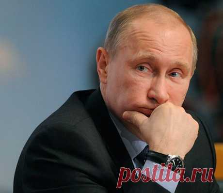 фото президента путина - Поиск в Google