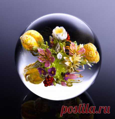 Восхитительные стеклянные цветы