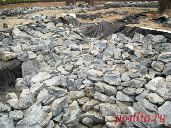 Синегорье(работа) | 125 фотографий