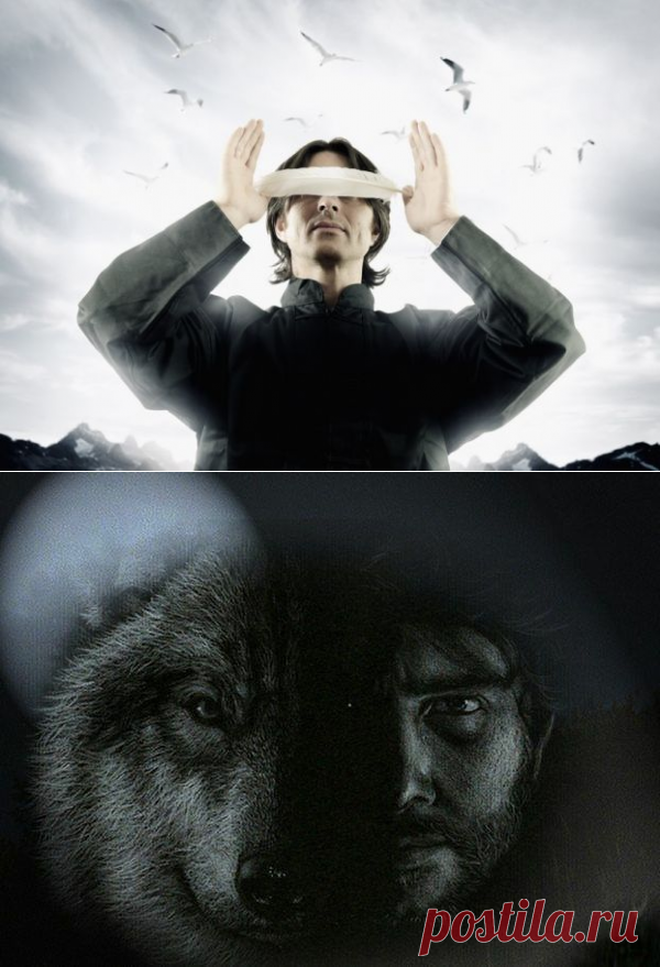 Лиминалис »

Он с усилием приподнялся на правой руке, приоткрыл глаза. И его охватил ужас…

Напротив Владислава возвышалось жуткое человекообразное существо. Всё оно было покрыто длинной серой шерстью, голова была явно волчьей. Хотя удлинённый нос представлял нечто среднее между человеческим и волчьим.Создавалось впечатление, будто из-за огромных размеров чудище уходит куда-то сквозь потолок. Из крупной пасти, усеянной множеством острых зубов, стекала слюна. Зато глаза, вроде бы, человечески