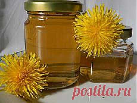 Мед из желтых лепестков одуванчика. Вино из одуванчиков - Цветы на десерт. Florets.ru