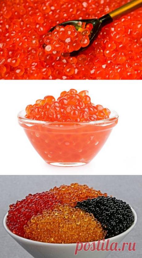 Красная икра: правда и мифы | Здоровье Каждый День