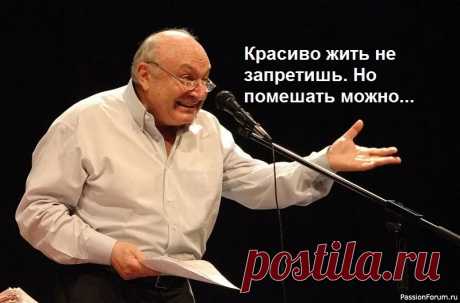 В память о Михаиле Жванецком