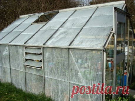 Как защитить растения от жары в теплице - Садоводка