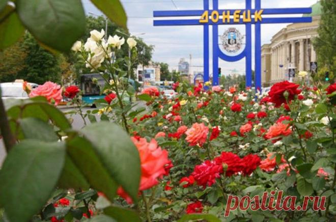 Донецк: негромкое мужество