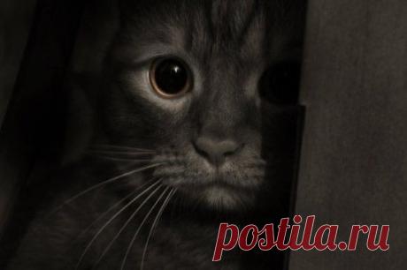 Ожидание заставляет &quot;сходить с ума&quot;, но желание дождаться заставляет &quot;жить&quot;.