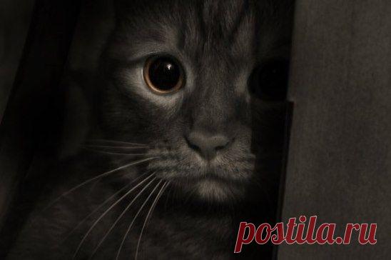 Ожидание заставляет "сходить с ума", но желание дождаться заставляет "жить".