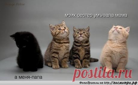 Интересные новости